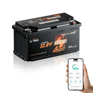 12V 100Ah Li-Time LiFePO4 Bluetooth-accu met verwarming
