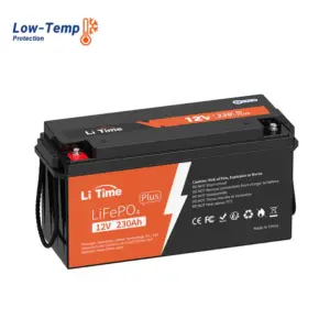 LiTime 12V 230Ah PLUS LiFePO4 Accu incl. 200A BMS + vorstbescherming