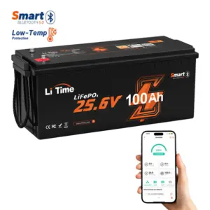 LiTime 24V 100Ah LiFePO4 Accu met Bluetooth en 100A BMS